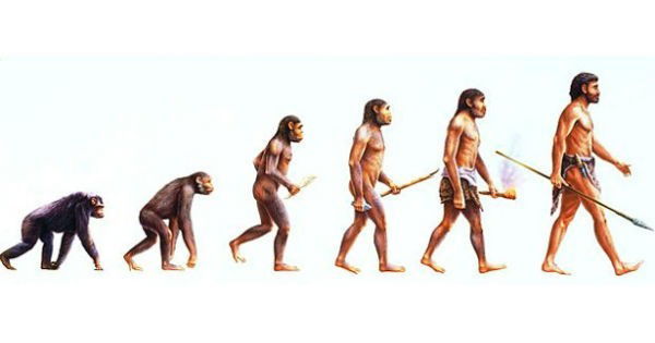 Teoria da Evolução